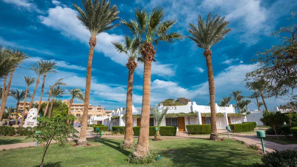 الفندق شمس سفاجا ريزورت - سفاجا